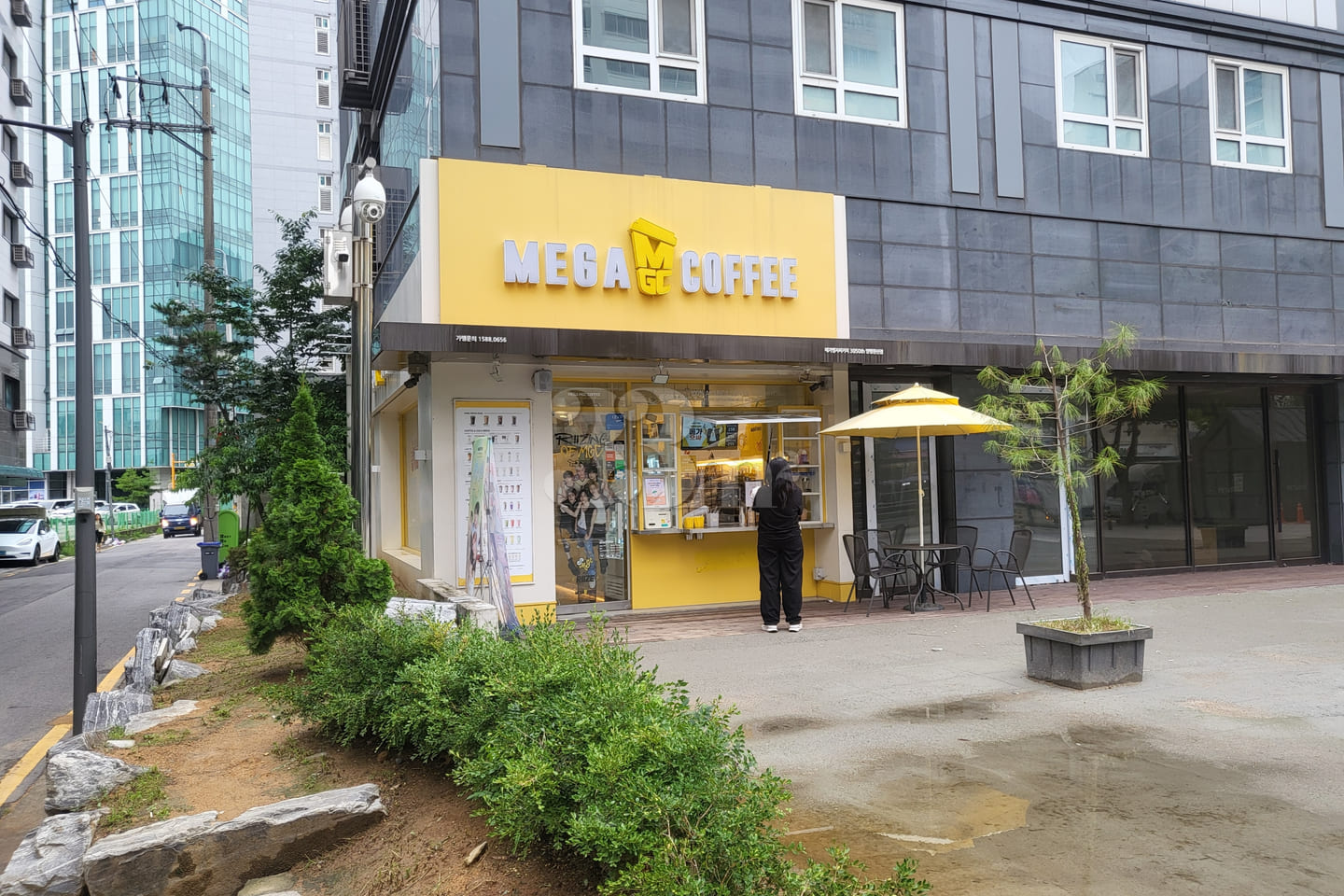 [반려견]선유도역당산역 14번째 이미지