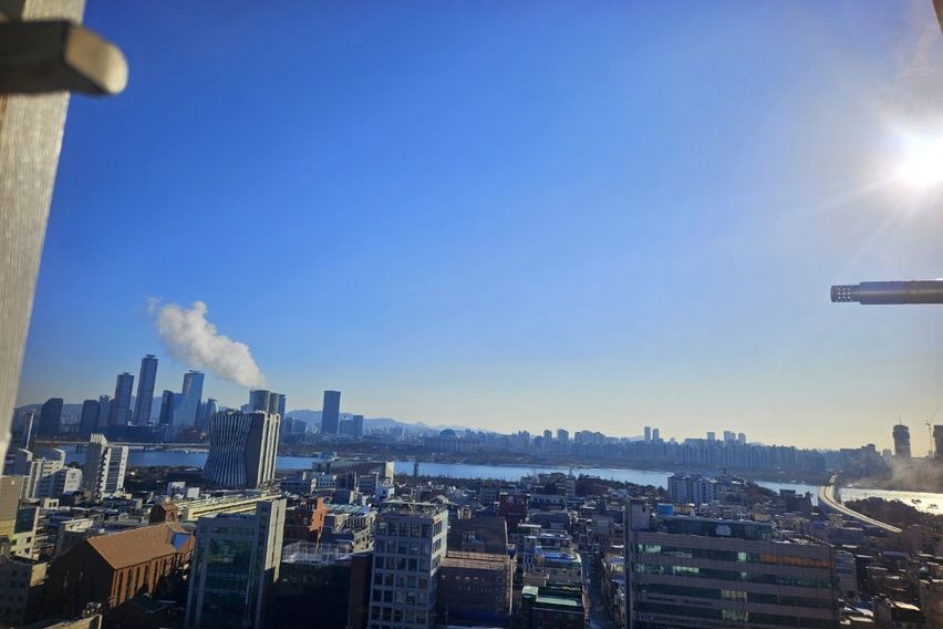 합정역1초홍대한강뷰애견