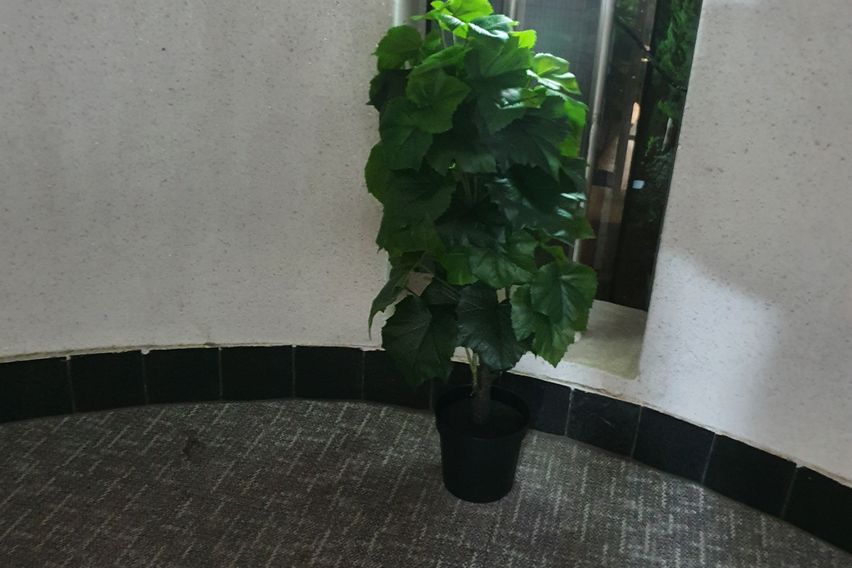 스테이에비뉴 504호