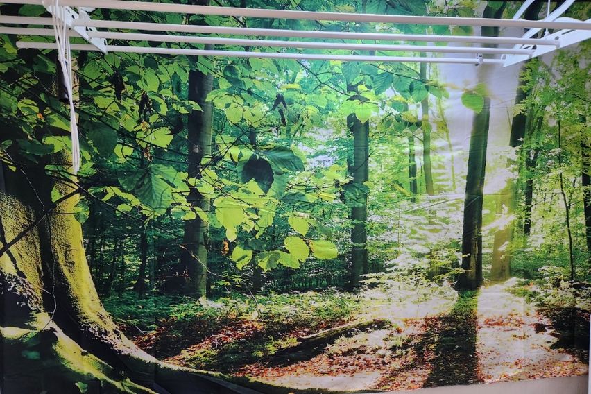 마이구미🩷감성506