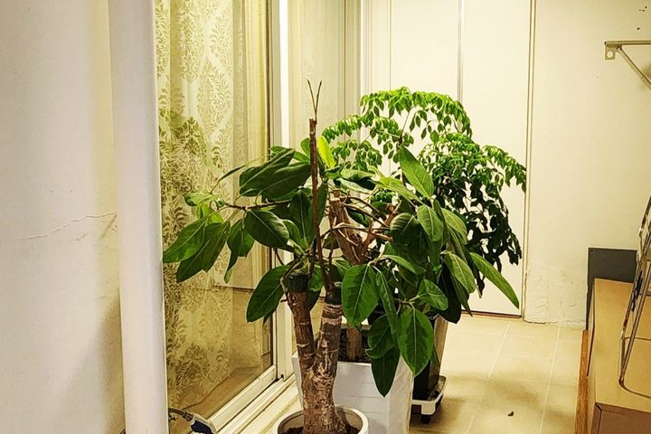 산단 5분 봉명아이파크 14번째 이미지