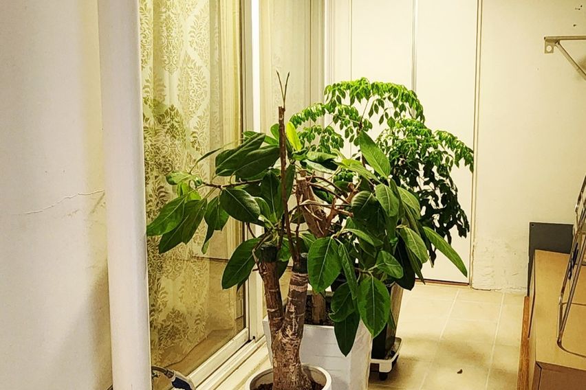 산단 5분 봉명아이파크