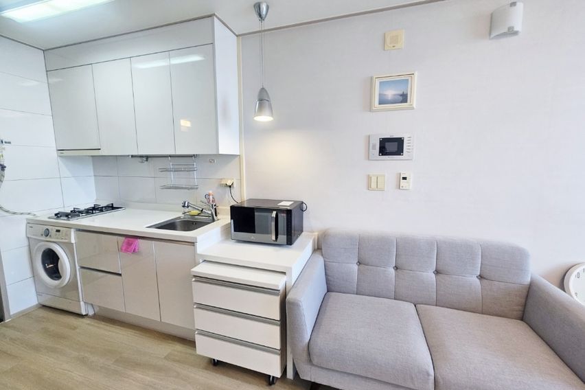 합정역1초홍대한강뷰애견