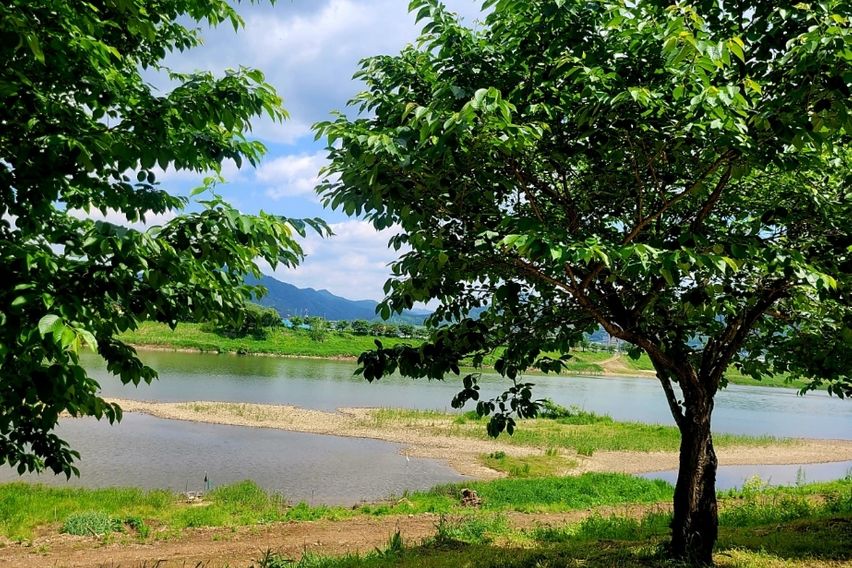 강이 보이는 조용한 곳