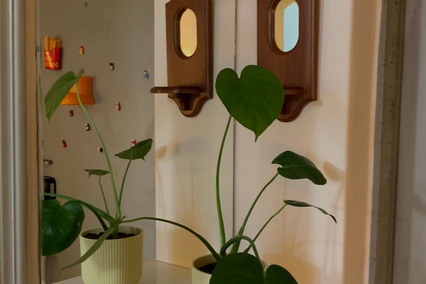 교원대 충청대 오송역