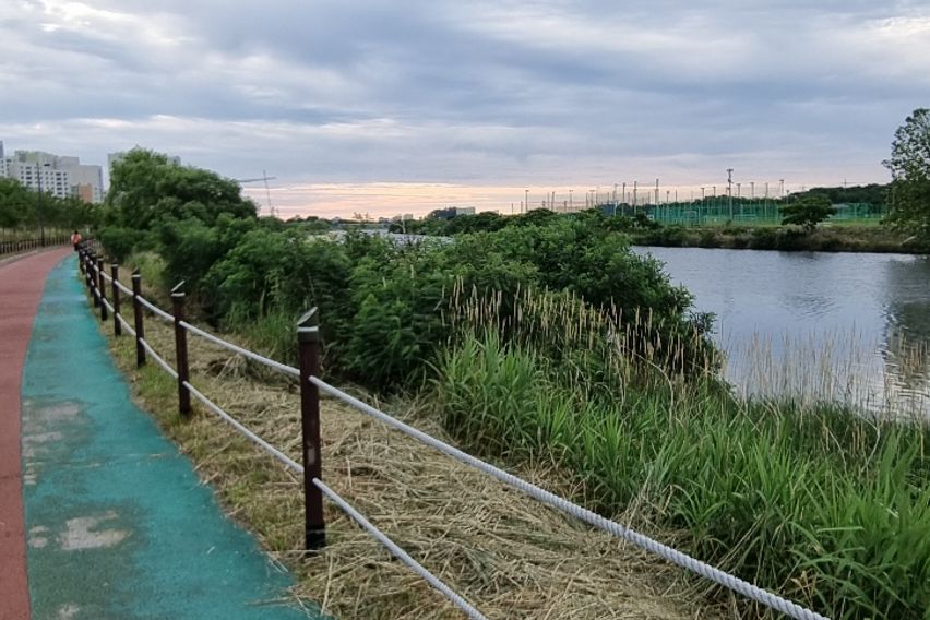 도심 강변원룸 2층R