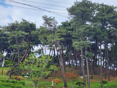 D1 unit with a pleasant surrounding environme 2th image