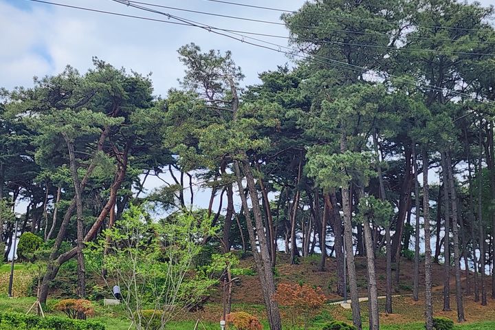 주변환경좋고주차편한d1 2번째 이미지