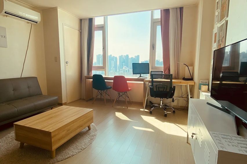 신사 한강 가로수강남 4번째 이미지