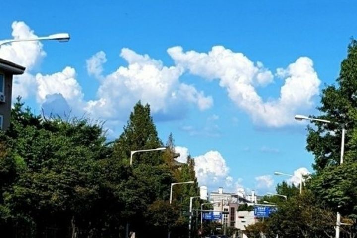 산속 자연과 새소리안전 16번째 이미지