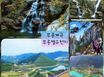 강원동해어달앞바다201 19번째 이미지