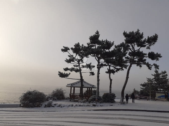 위미리 독채투룸 마당집 15번째 이미지