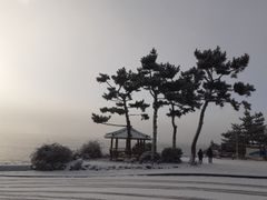 위미리 독채투룸 마당집 15번째 이미지