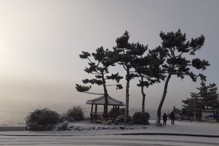 위미리 독채투룸 마당집 15번째 이미지