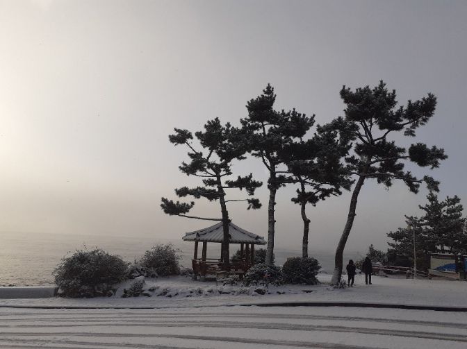 위미리 독채투룸 마당집