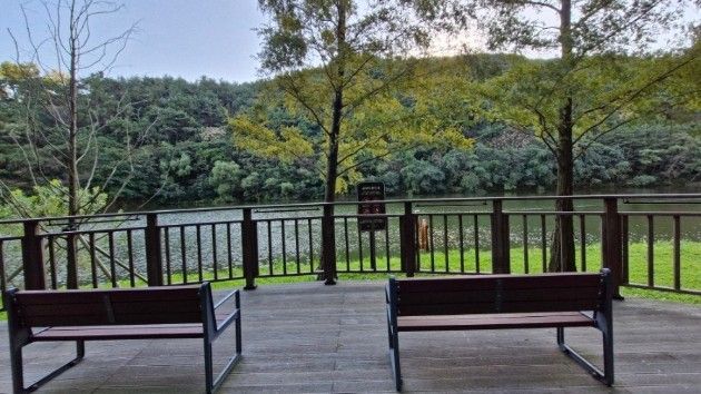 공원을 품은 3룸 빌라 18번째 이미지