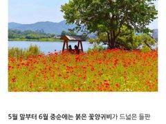 북한강 5분 정원넓은집 16번째 이미지