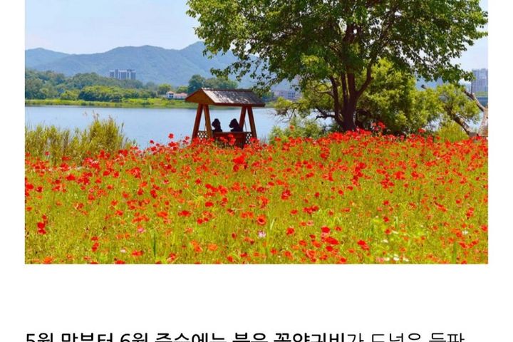 북한강 5분 정원넓은집 16번째 이미지
