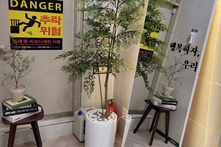 엘베있는픽셀하우스회기점 3번째 이미지