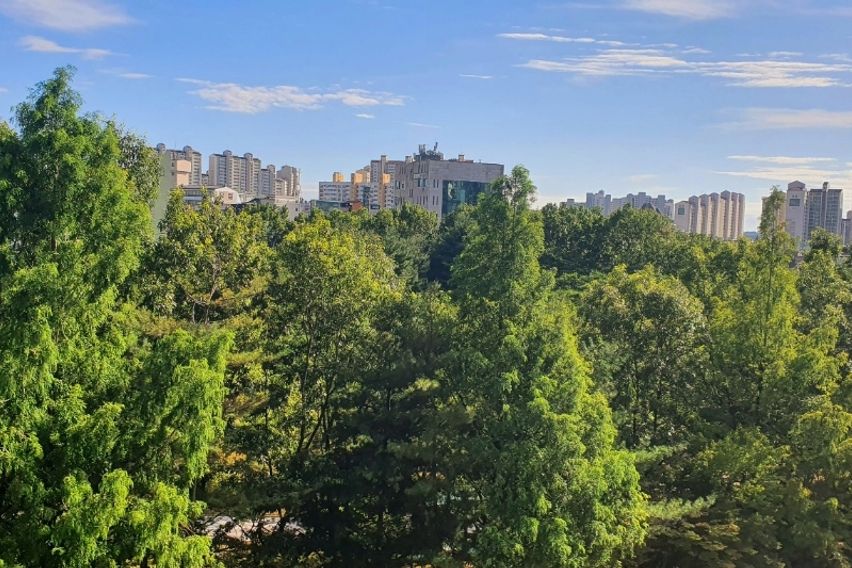 🏠고양화정32평아파트