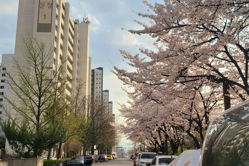 🔶️풀옵션 분리형 원룸🔶️ 18번째 이미지