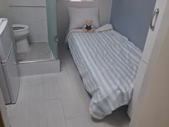 Premium 1th image