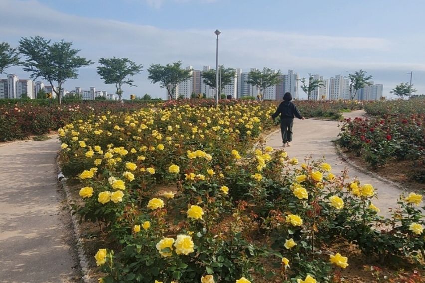  오션뷰 핫플 스위트룸 13번째 이미지
