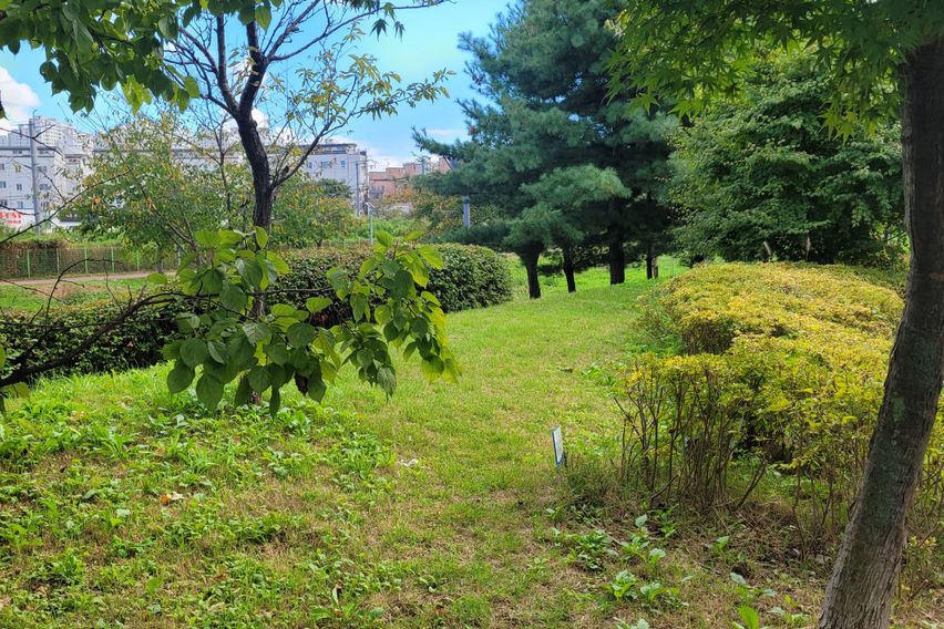 주엽역 cozy9풀옵션