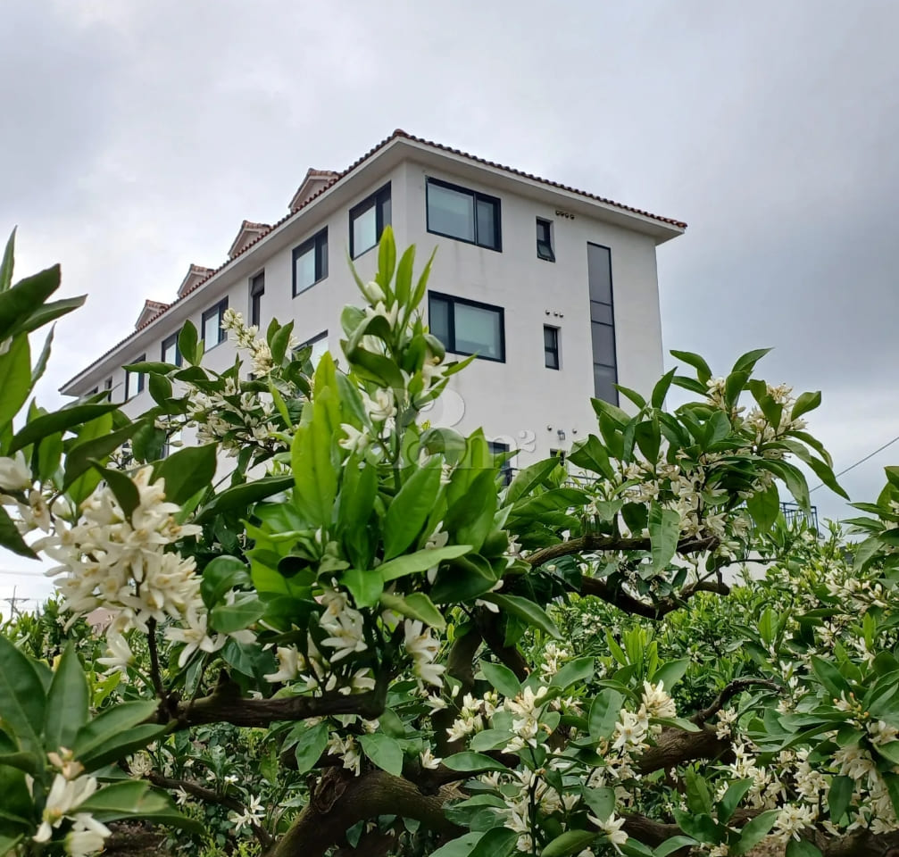Seogwipo Tangerine Farm Accommodation 0th image