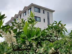 Seogwipo Tangerine Farm Accommodation 0th image