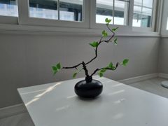 😁삼성병원 수서대청역 16번째 이미지