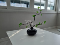 π Samsung Hospital, Suseo, Daecheong Station 16th image