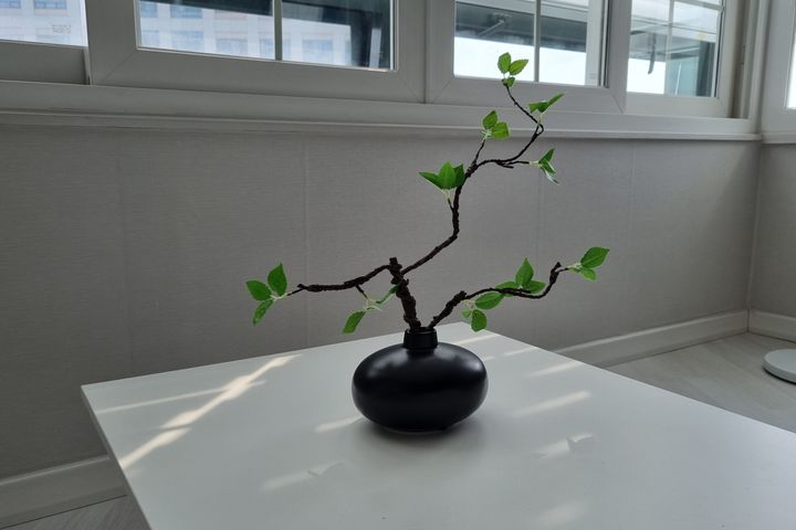 😁삼성병원 수서대청역 16번째 이미지