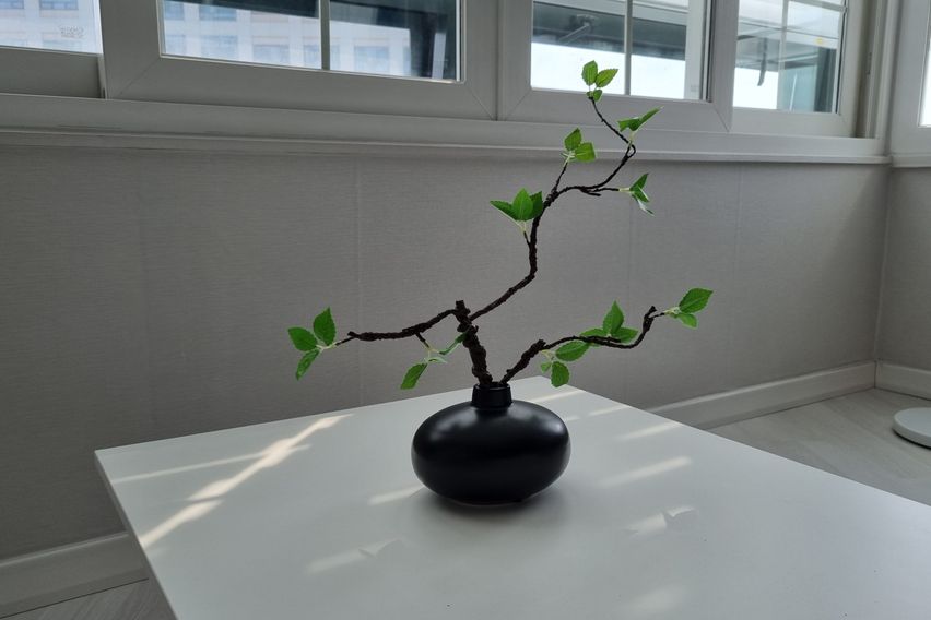 😁삼성병원 수서대청역 16번째 이미지