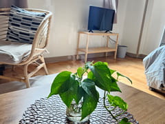 Fully furnished studio (approx. 26 m²) locate 15th image