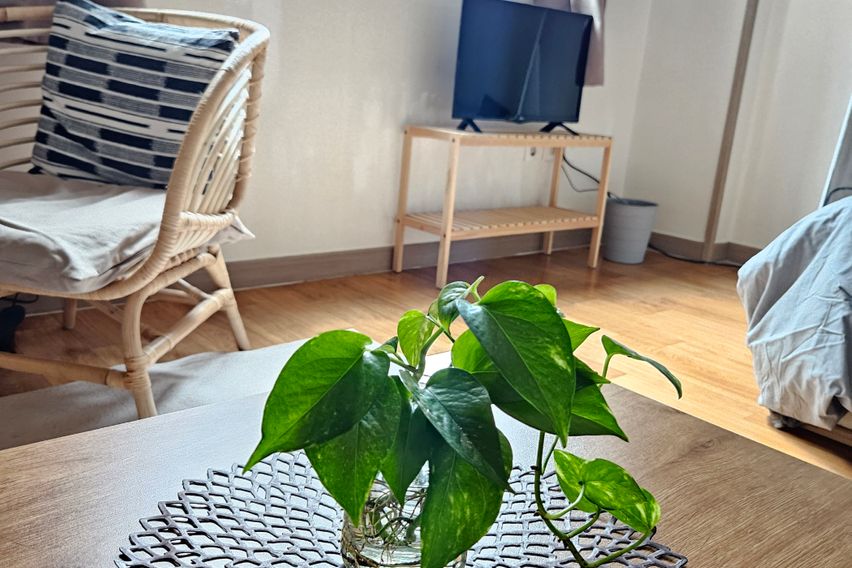 홍대신촌사이풀옵션8평