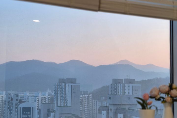 서현판교/올수리3인탄천 4번째 이미지