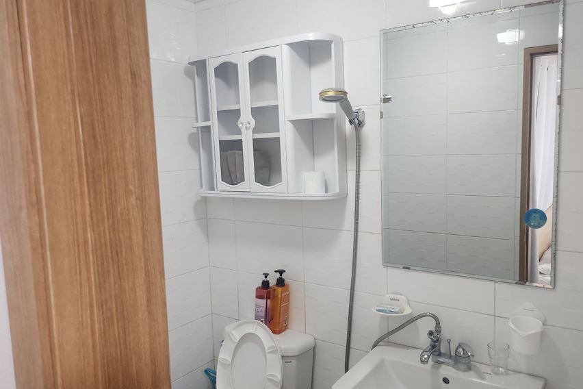 부산갈매기 501 특가