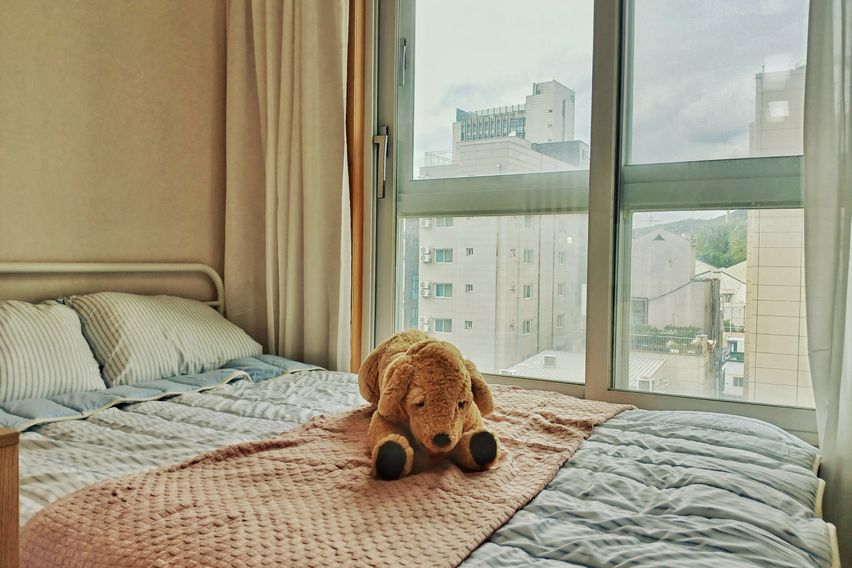 연대/홍대/신촌🏠