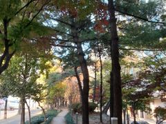 둔산동출장🤩아늑/깔끔 18번째 이미지