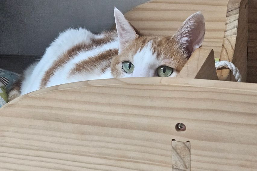 하이 1번째 이미지