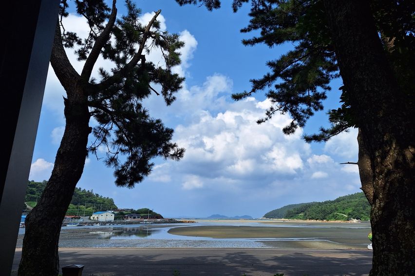 청산도 락 한옥 국화