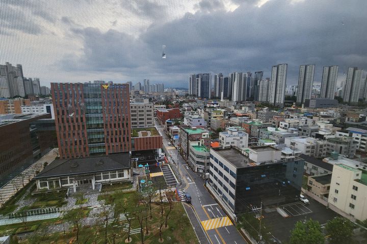 은행동번화가성심당야구장 15번째 이미지