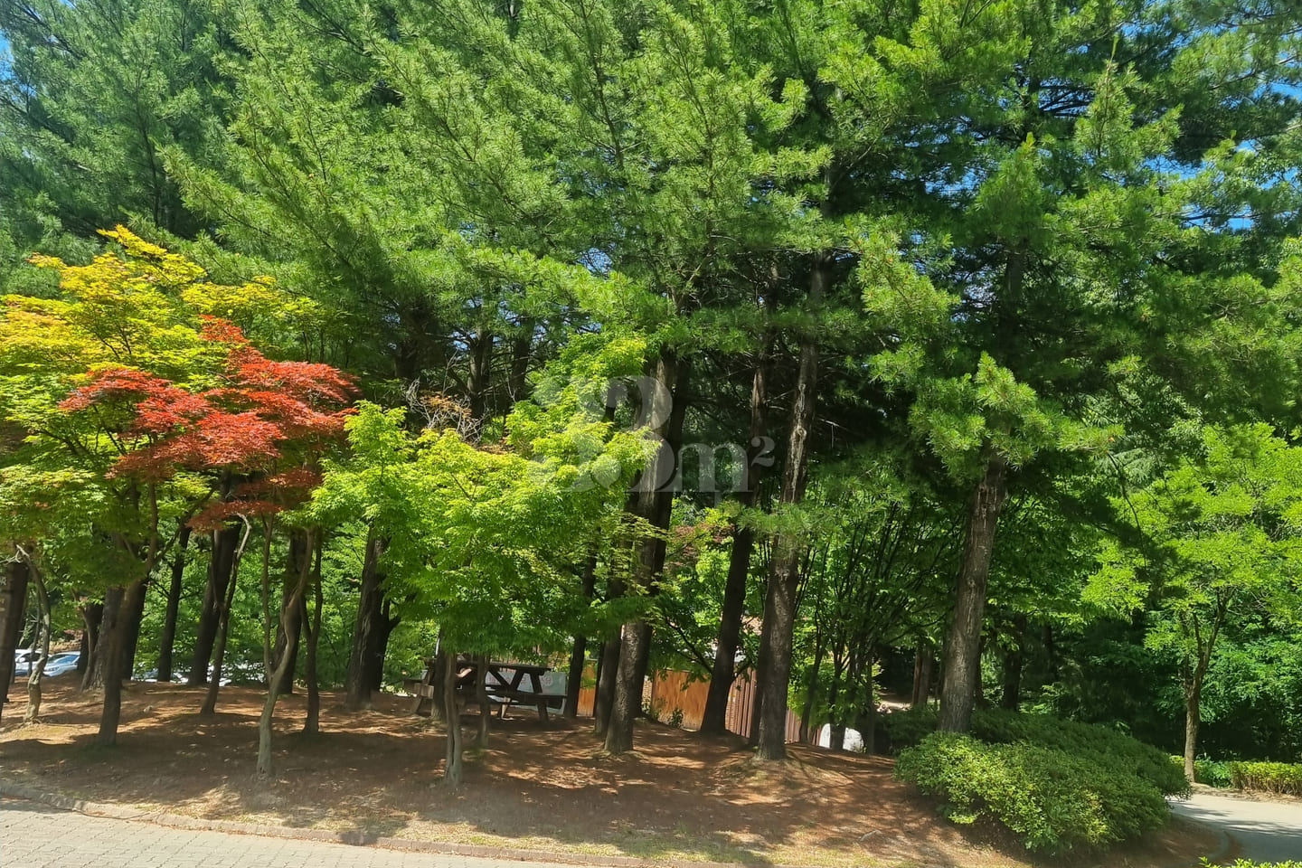 #SunHospital Internship – 1-Minute Walk! 11th image