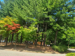 #SunHospital Internship – 1-Minute Walk! 11th image