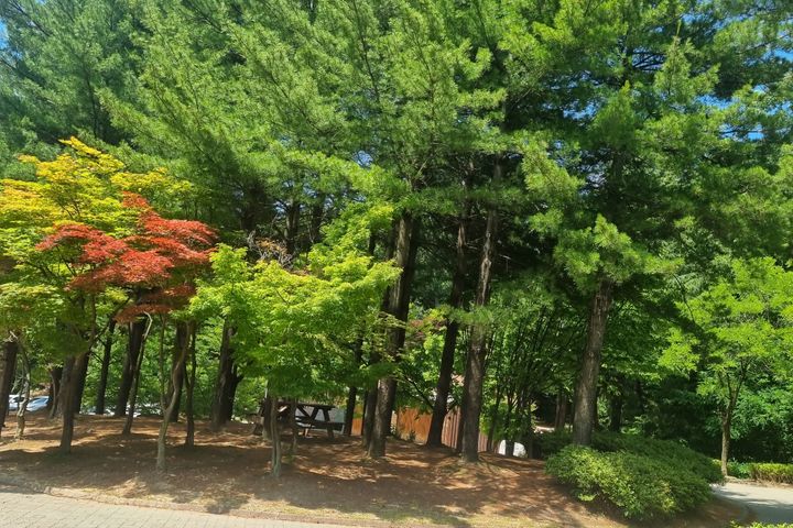 #선병원실습 도보1분! 9번째 이미지
