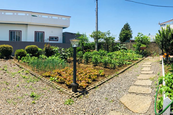 A house full of sunshine in Seogwipo 7th image