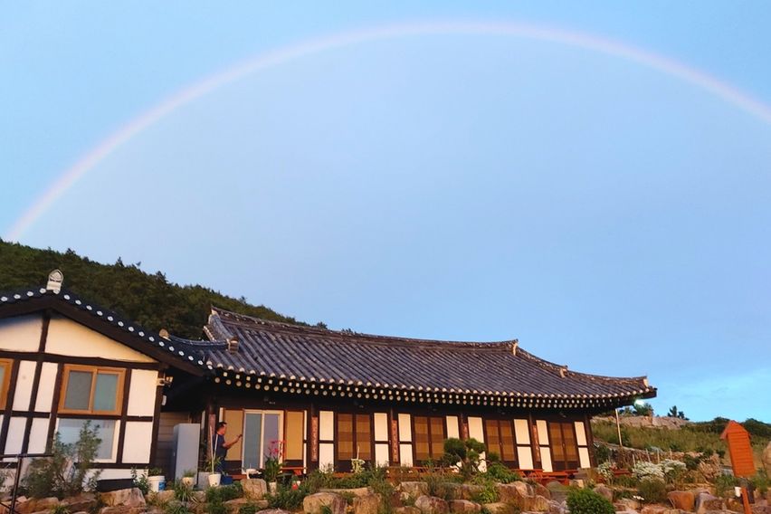 청산도 락 한옥 대나무