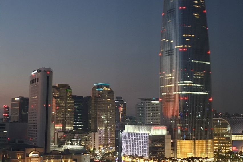 롯데월드 석촌호수 뷰