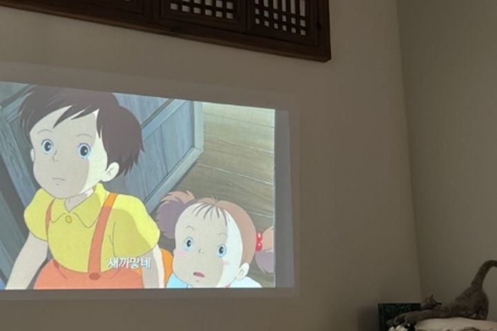 도심오아시스 와하녹  2번째 이미지